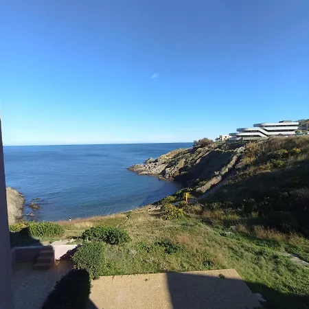 4ol137 Avec Vue * Collioure